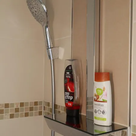 Modernes Mit Kueche Und Regendusche Διαμέρισμα Niederdorla